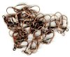 10 Pairs of Antique Copper Lever Back Earrings with Shell